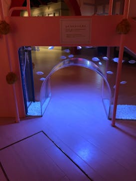 横浜開運水族館 フォーチュンアクアリウムに投稿された画像（2023/4/19）