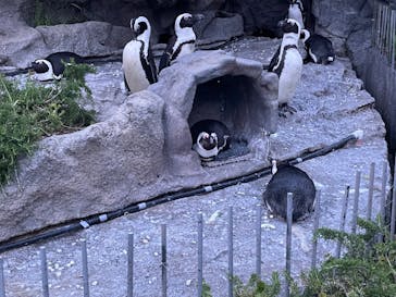 サンシャイン水族館に投稿された画像（2023/4/19）