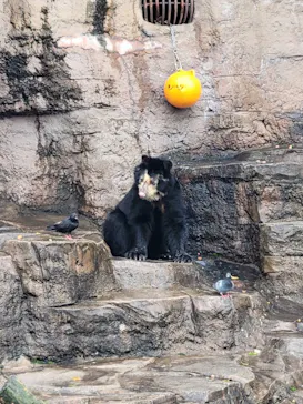 天王寺動物園に投稿された画像（2023/4/19）