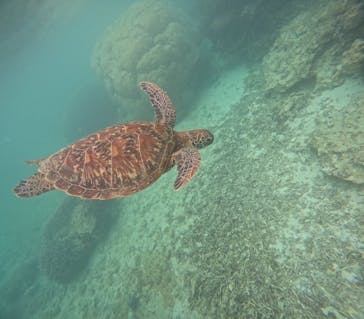 宮古島 ADVENTURE PiPi（ミヤコジマ アドベンチャー ピピ）に投稿された画像（2023/4/19）