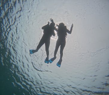 宮古島 ADVENTURE PiPi（ミヤコジマ アドベンチャー ピピ）に投稿された画像（2023/4/19）