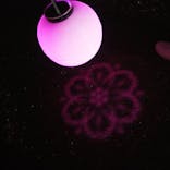 NAKED 桜の新宿御苑 2023に投稿された画像（2023/4/20）