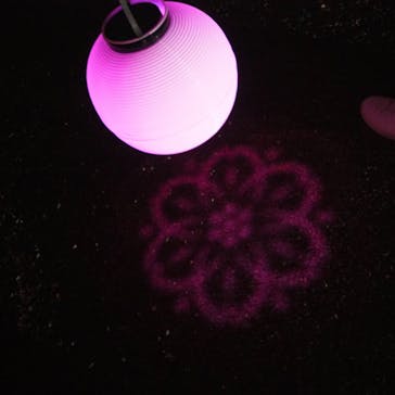 NAKED 桜の新宿御苑 2023に投稿された画像（2023/4/20）