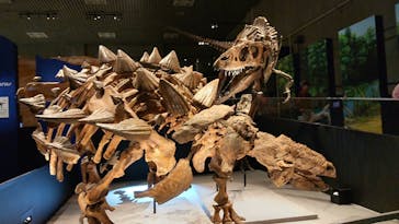 特別展「恐竜博2023」に投稿された画像（2023/4/20）