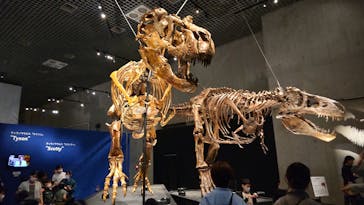特別展「恐竜博2023」に投稿された画像（2023/4/20）