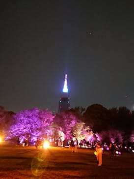 NAKED 桜の新宿御苑 2023に投稿された画像（2023/4/20）