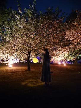 NAKED 桜の新宿御苑 2023に投稿された画像（2023/4/20）