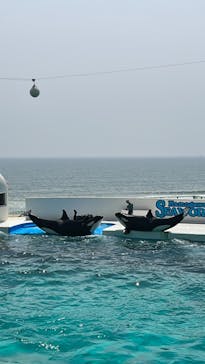 鴨川シーワールドに投稿された画像（2023/4/20）