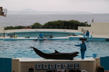 沖縄美ら海水族館に投稿された画像（2023/4/20）