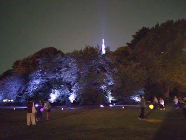 NAKED 桜の新宿御苑 2023に投稿された画像（2023/4/20）