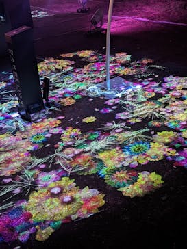 NAKED 桜の新宿御苑 2023に投稿された画像（2023/4/20）