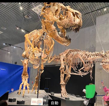 特別展「恐竜博2023」に投稿された画像（2023/4/20）
