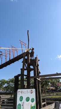 まかいの牧場に投稿された画像（2023/4/20）