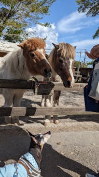 まかいの牧場に投稿された画像（2023/4/20）