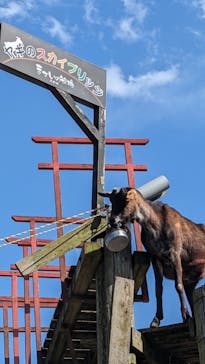 まかいの牧場に投稿された画像（2023/4/20）