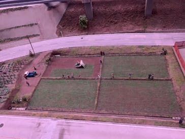 ミニチュアミュージアム スモールワールズに投稿された画像（2023/4/20）