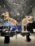 特別展「恐竜博2023」に投稿された画像（2023/4/20）