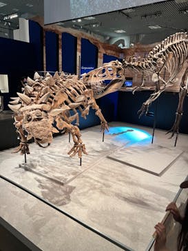 特別展「恐竜博2023」に投稿された画像（2023/4/20）