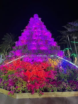 美らヤシパークオキナワ・東南植物楽園に投稿された画像（2023/4/20）