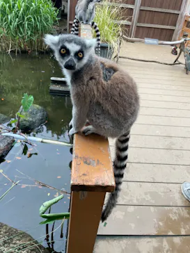 神戸どうぶつ王国に投稿された画像（2023/4/20）