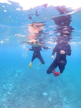 タビワク　宮古島に投稿された画像（2023/4/20）