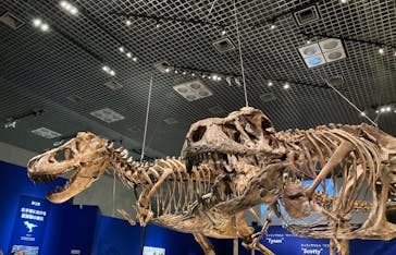 特別展「恐竜博2023」に投稿された画像（2023/4/21）