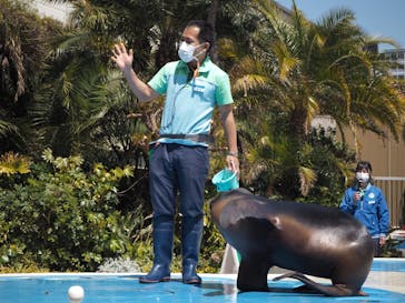 サンシャイン水族館に投稿された画像（2023/4/21）