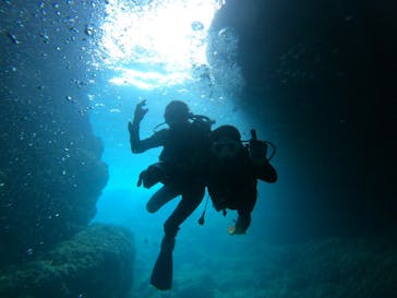 沖縄マリンサービス碧に投稿された画像（2023/4/21）