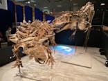 特別展「恐竜博2023」に投稿された画像（2023/4/21）