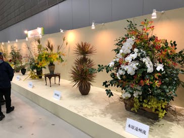 花と緑のココロ博２０２３に投稿された画像（2023/4/21）