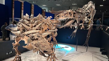 特別展「恐竜博2023」に投稿された画像（2023/4/21）
