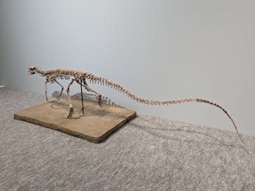 特別展「恐竜博2023」に投稿された画像（2023/4/21）