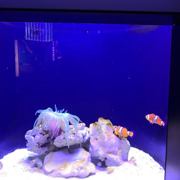 マリンワールド海の中道に投稿された画像（2023/4/21）