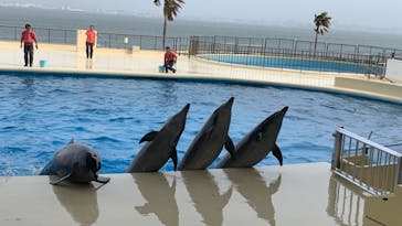 マリンワールド海の中道に投稿された画像（2023/4/21）