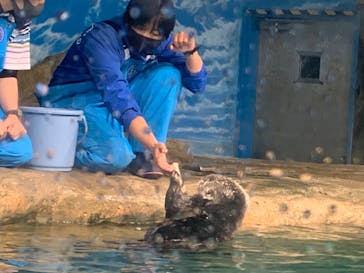 マリンワールド海の中道に投稿された画像（2023/4/21）