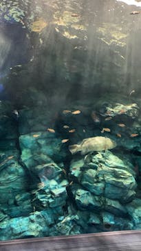 マリンワールド海の中道に投稿された画像（2023/4/21）