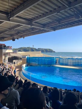 新江ノ島水族館に投稿された画像（2023/4/21）