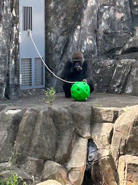 千葉市動物公園に投稿された画像（2023/4/21）