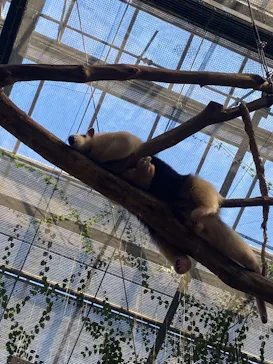 神戸どうぶつ王国に投稿された画像（2023/4/21）