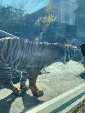 神戸どうぶつ王国に投稿された画像（2023/4/21）