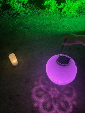 NAKED 桜の新宿御苑 2023に投稿された画像（2023/4/21）