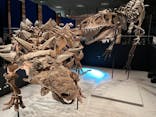 特別展「恐竜博2023」に投稿された画像（2023/4/21）