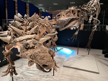 特別展「恐竜博2023」に投稿された画像（2023/4/21）