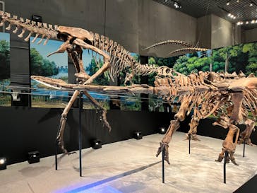 特別展「恐竜博2023」に投稿された画像（2023/4/21）