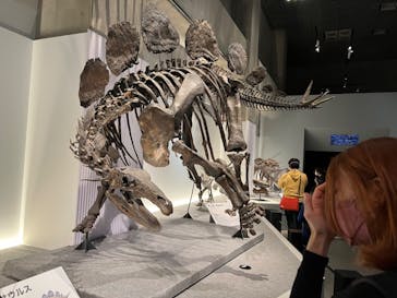 特別展「恐竜博2023」に投稿された画像（2023/4/21）