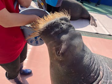 ゼロ距離水族館 伊勢シーパラダイスに投稿された画像（2023/4/21）