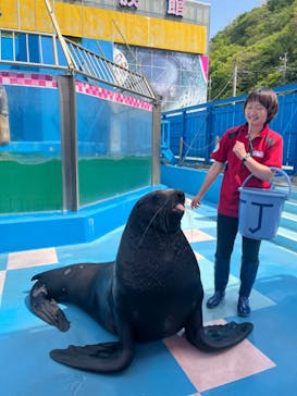ゼロ距離水族館 伊勢シーパラダイスに投稿された画像（2023/4/21）