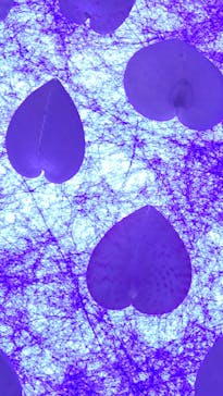 古宇利オーシャンタワーに投稿された画像（2023/4/21）