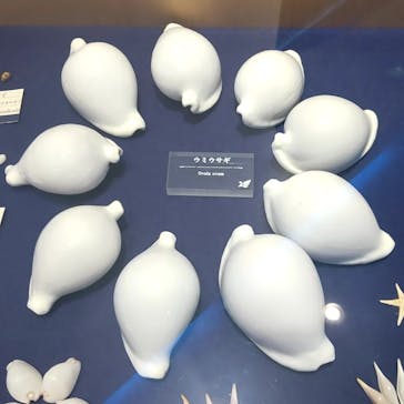 古宇利オーシャンタワーに投稿された画像（2023/4/21）