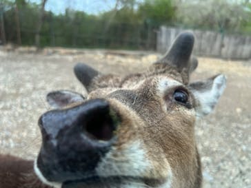 那須サファリパークに投稿された画像（2023/4/21）